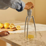 Alessi Zitruspresse Juicy Salif