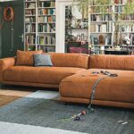 freistil by Rolf Benz Sofa 136